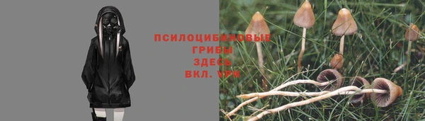 ALPHA-PVP Армянск